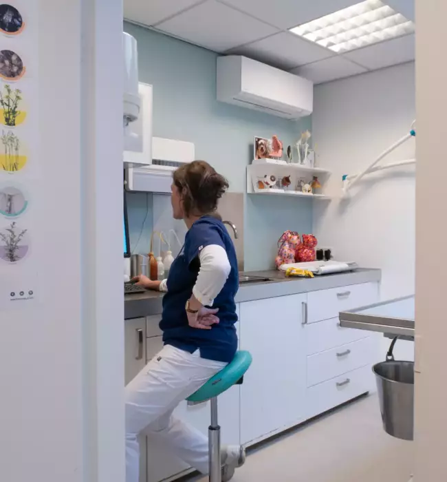 DAP-Aerdenhout-2025-Praktijk-49